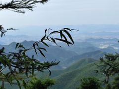 -莫干山风景区
