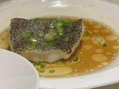 蒸鳕鱼-皇朝会.经典传统粤菜(外滩店)