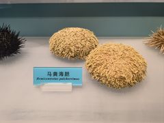 -天津自然博物馆