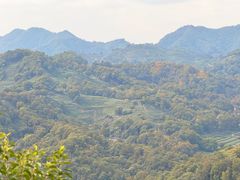 -九曜山