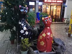 -猫咪博物馆(顶澳仔猫街店)