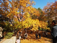 -山东师范大学(千佛山校区)