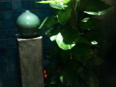 android_upload_pic-粗茶淡饭·隐庐私厨(东亭店)