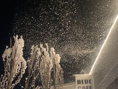 -Blue Concept Cafe&Farm·關於藍