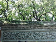 -普陀山风景名胜区-法雨禅寺