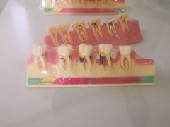 -青岛市口腔医院(总院)