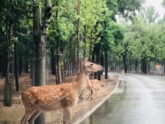 -秦皇岛野生动物园