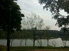 android_upload_pic-琴亭湖公园