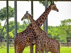 -常州淹城野生动物世界