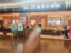 -龍歌自助小火锅(市南金茂湾店)