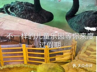 不一样的儿童乐园等你的到来