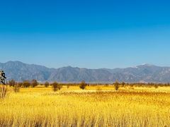 -野鸭湖国家湿地公园