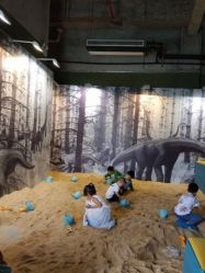 -恐龙探索乐园(磁器口店)