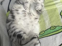 -艾贝尔宠物医院 ·内科全科(梁溪路店)