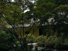 -南山植物园
