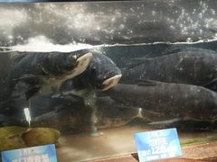 -上名堂·鱼头好吃(体育场路店)