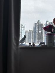 -金月汇月子会所(江门店)