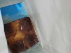 -蒲公英(五里店)