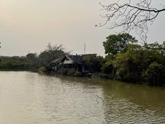 -海上田园