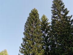 -广州雕塑公园
