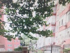 -青岛大学路小学