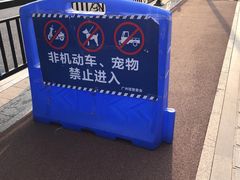 -广州塔