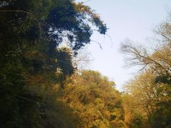 -九曲溪竹筏码头