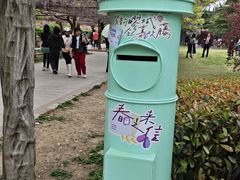 -嘉定紫藤园