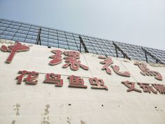 -中环花鸟鱼虫市场