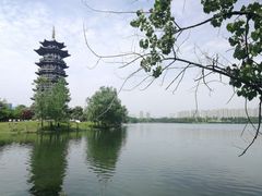 -洋湖国家湿地公园