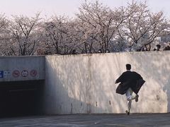 -龙美术馆西岸馆-停车场