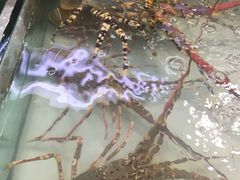 -班赞海鲜市场