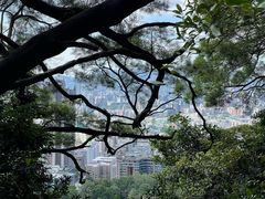 -狮子山郊野公园