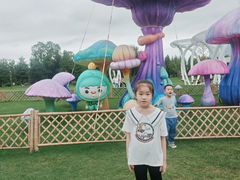 -黄海国家森林公园