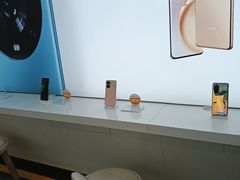 -荣耀授权专卖店(黄浦浙江中路店)