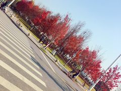 -东湖落雁景区