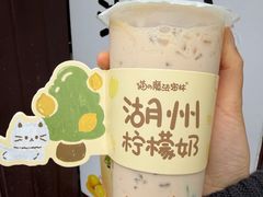 -猫的魔法密林(衣裳街店)