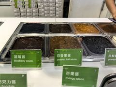 -Salud撒露欧洲冻酸奶(蓝色港湾店)