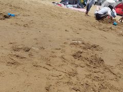 -碧海金沙