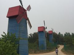 -洛阳郁金香牡丹园