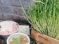-巴蜀大将火锅(春熙店)