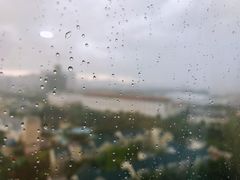 -张一元茶庄(望京店)