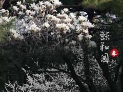-颐和园