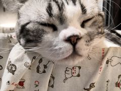 -小时光咖啡馆(开森度假森林店)