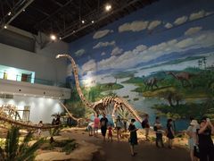 -自贡恐龙博物馆