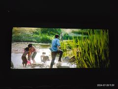 -华谊兄弟影院(IMAX洋桥店)