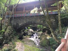 -藏龙百瀑风景区