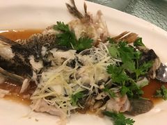 -新加坡海鲜共和(名胜世界圣淘沙海滨坊)