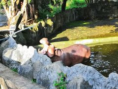 -清迈夜间动物园