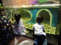 -成都浩海立方海洋公园